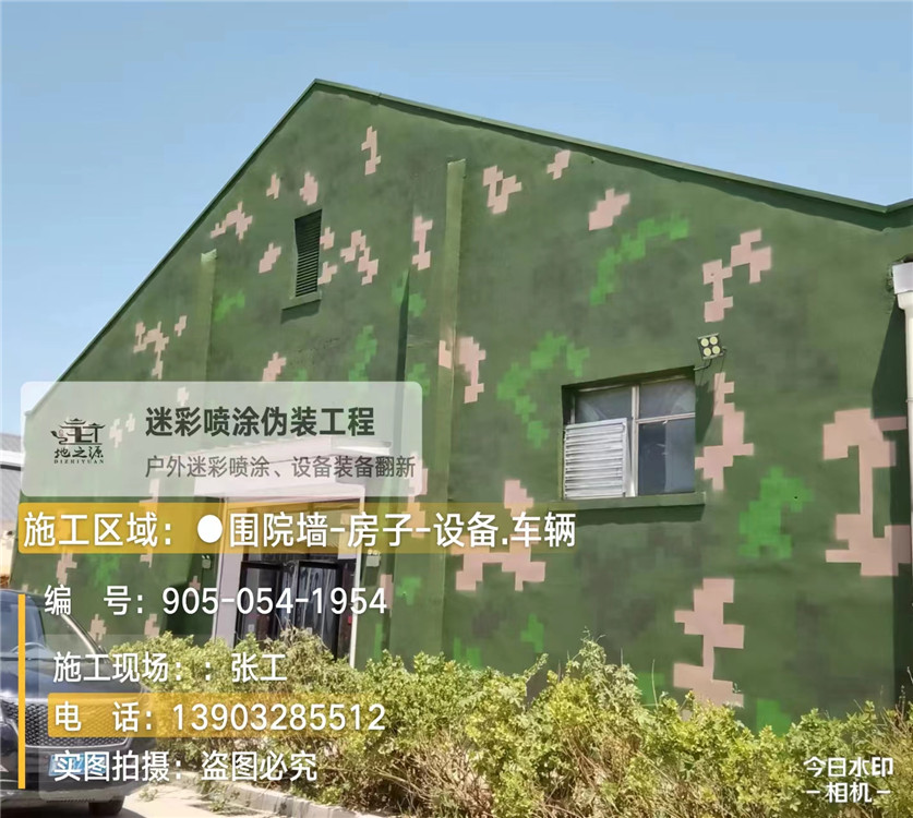 平凉外墙数码迷彩漆施工报价清单(100㎡标准墙面测算)